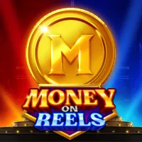 Người chơi đang phân tích gà chiến để đặt cược tại alo88 bet