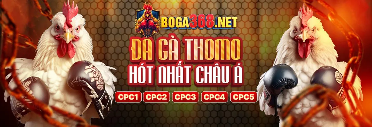 Đấu gà trực tuyến kịch tính tại alo88 bet